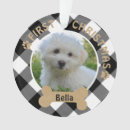 Suche nach brauner und weißer hund ornamente Haustier