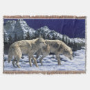 Suche nach wolf im schnee decken Alaska