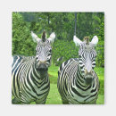 Suche nach bewegung magnete Wild lebende tiere