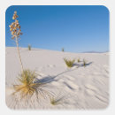 Suche nach yucca aufkleber Bernard