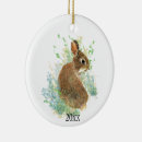 Suche nach hase ornamente Haustier