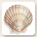 Suche nach strand kork untersetzer Muscheln