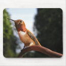 Suche nach male mousepads Kolibri