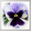 Suche nach dunkel lila poster Gelb