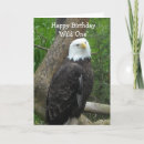 Suche nach weißkopfseeadler karten Vögel
