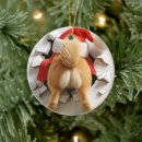Suche nach komisch ornamente Hund