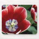 Suche nach genannt mousepads Blume