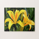 Suche nach gelbe blumen puzzle Pflanze