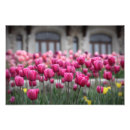 Suche nach bunte tulpen poster Mother