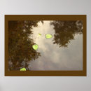 Suche nach wasserlilien poster Natur