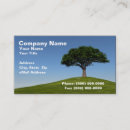 Suche nach kirschbäume visitenkarten Natur