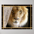 Suche nach big cat poster Foto