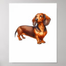 Suche nach weiner dog poster Hund