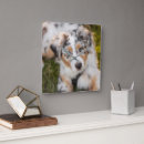 Suche nach schäferhunde wanduhren Haustiere