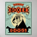 Suche nach boxer hunde poster Rettung