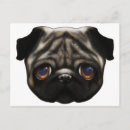 Suche nach trauriger mops postkarten Niedlich