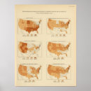 Suche nach maps poster United