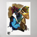 Suche nach vintager schmetterling poster Schmetterlinge