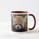 Suche nach roter panda tassen Pandas