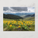 Suche nach montana landschaft postkarten Blume