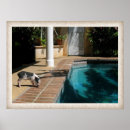 Suche nach piggy poster Schwein