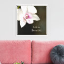 Suche nach orchid leinwandbilder Fotografie