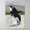 Suche nach killer whale poster Animals