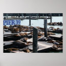 Suche nach seelöwen poster Sealion
