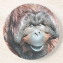 Suche nach orang utans untersetzer Wildtiere