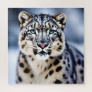 Suche nach schneeleopard Tier