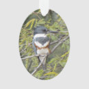 Suche nach vogel im baum ornamente Tier
