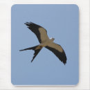 Suche nach schwalbe mousepads Vögel