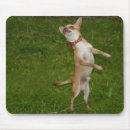 Suche nach charlies mousepads Welpe