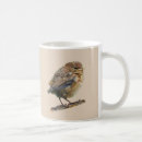 Suche nach amsel kaffee tassen Natur