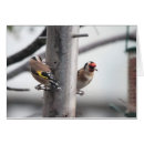 Suche nach goldener vogel postkarten Baum