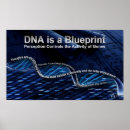 Suche nach biologen poster Dna