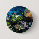 Suche nach bunte fische buttons Korallenriff