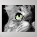 Suche nach katzenaugen poster Niedlich