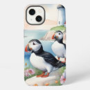 Suche nach papageientaucher Papageientaucher vögel