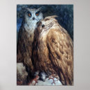 Suche nach zwei eulen poster Tierwelt