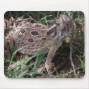 Suche nach eidechse mousepads Kröte