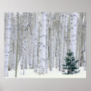 Suche nach der einsame baum poster Grün