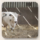 Suche nach milchkuh untersetzer Landwirtschaft