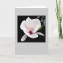 Suche nach magnolie karten Mit blumen