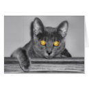 Suche nach katzenaugen karten Kitty