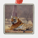 Suche nach bengals ornamente Tiger