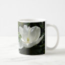 Suche nach magnolie tassen Blume