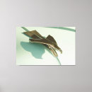 Suche nach 1953 poster Chevrolet