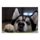 Suche nach heiser postkarten Welpe