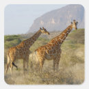 Suche nach afrika aufkleber Kamera betrachten